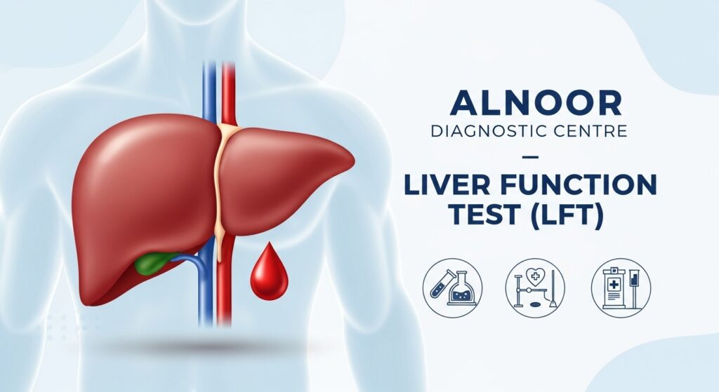 Alnoor Diagnostic Centre Liver Function Test (LFT) with liver illustration and blood vessels