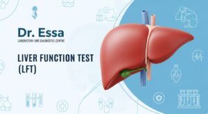 Liver Function Test (LFT)
